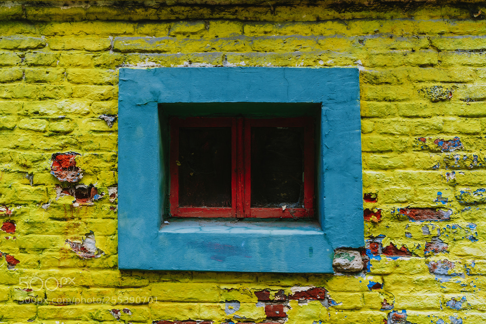 Sony a7R II sample photo. The colorful and vibrant photography