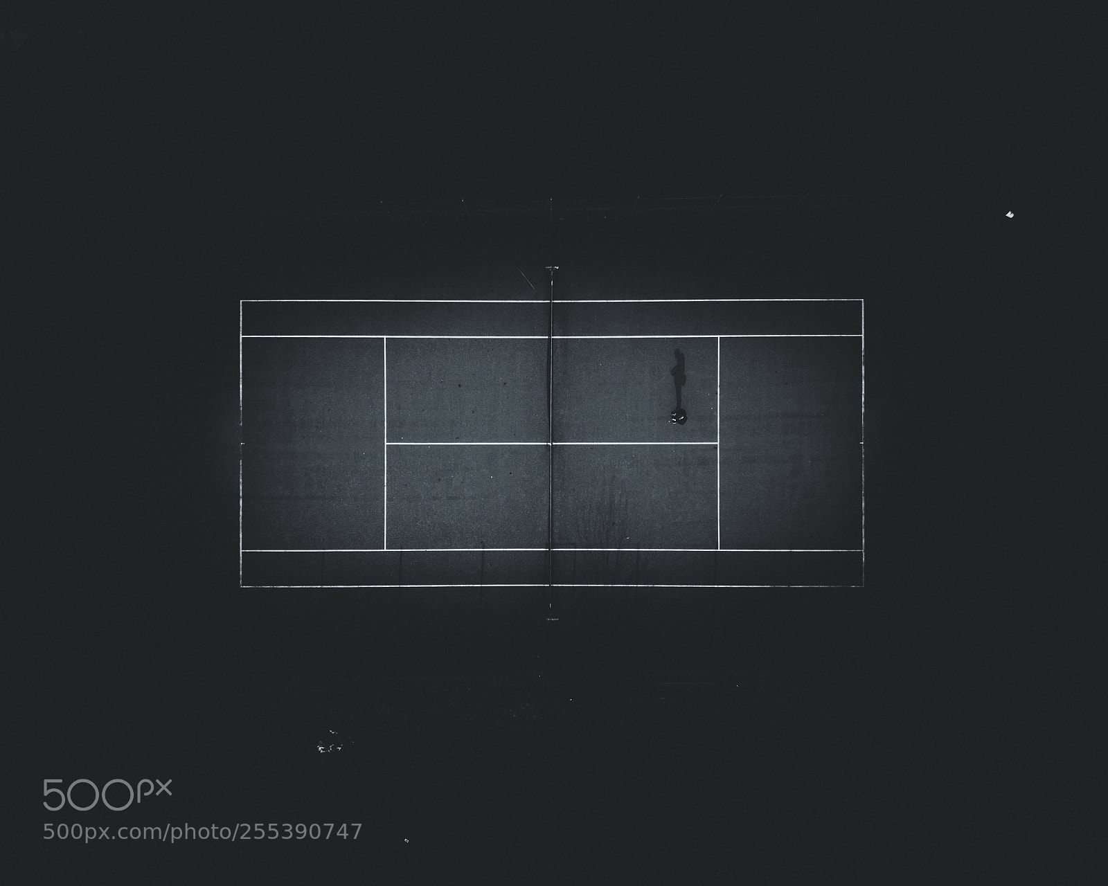 DJI FC220 sample photo. The court photography
