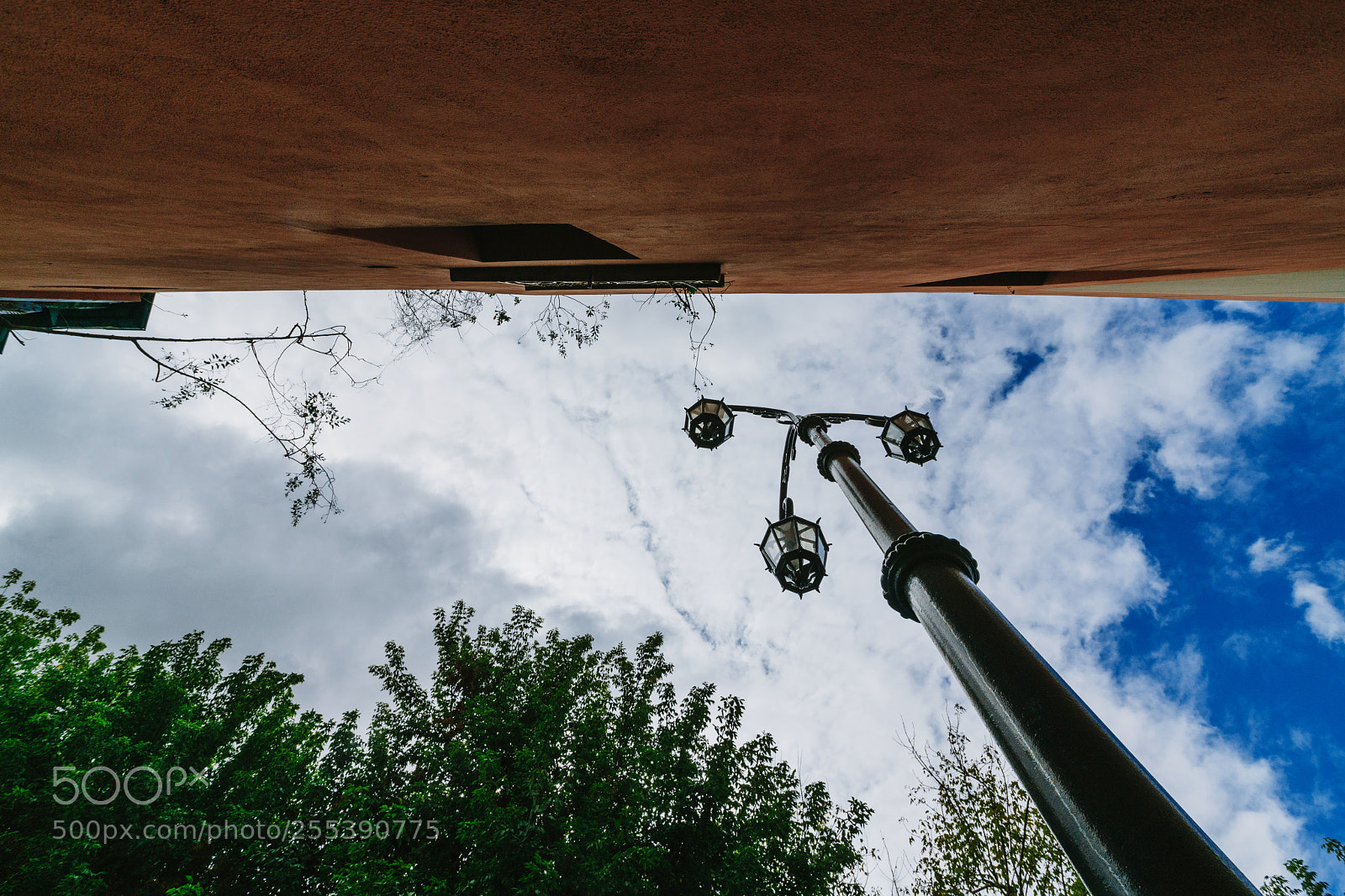 Sony a7R II sample photo. The colorful and vibrant photography