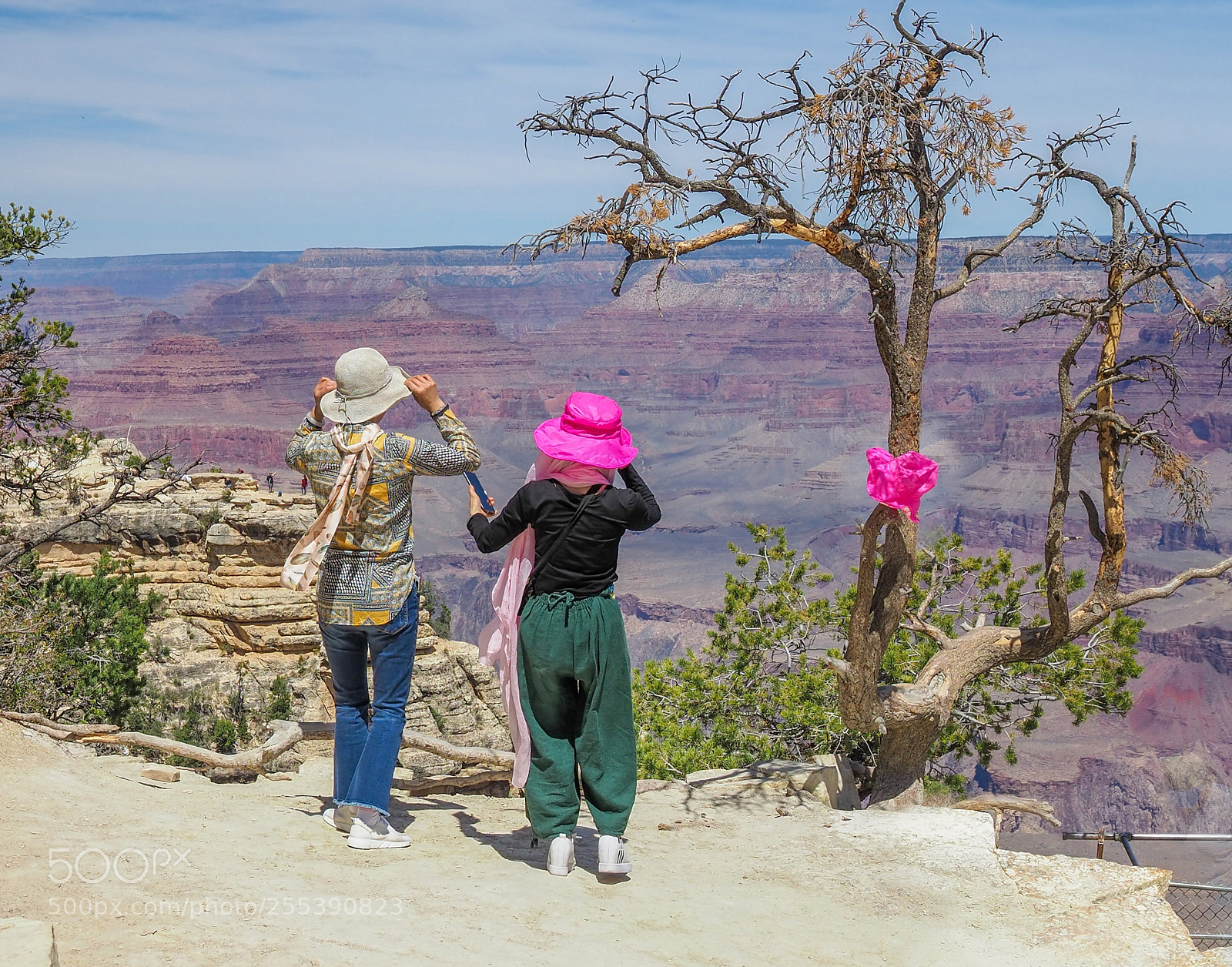 Olympus OM-D E-M1 Mark II sample photo. Grand canyon photography