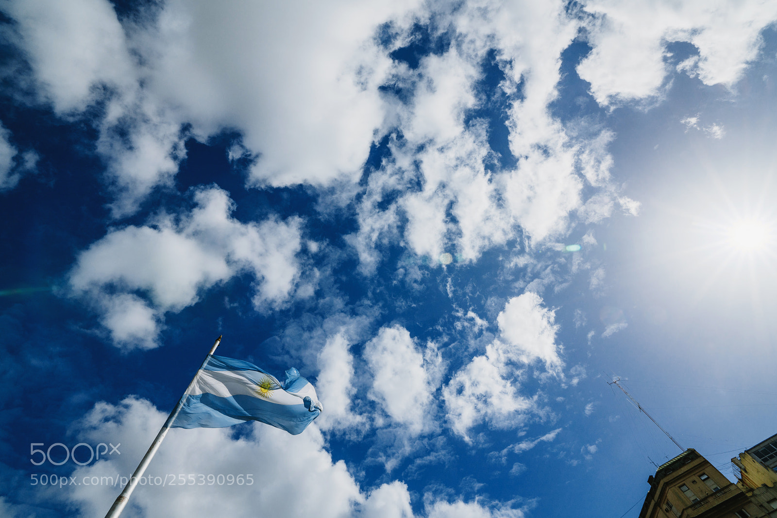 Sony a7R II sample photo. Argentinean flag flying in photography