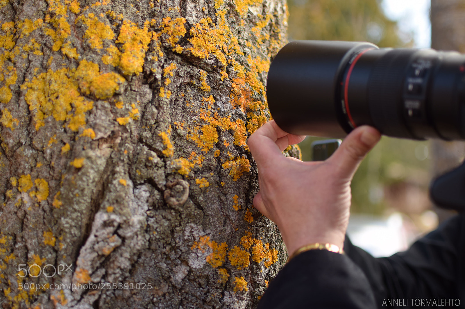 Nikon D5300 sample photo. The photographer at work. photography