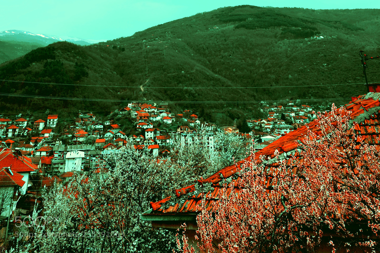 Nikon D3300 sample photo. Spring in kriva palanka photography