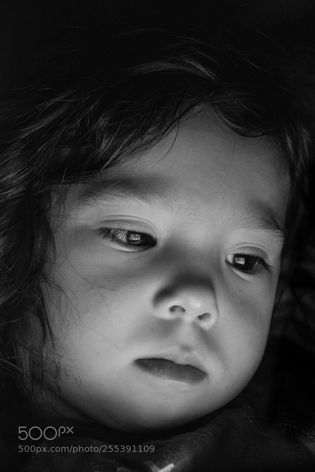 Nikon D5300 sample photo. Untitled photography
