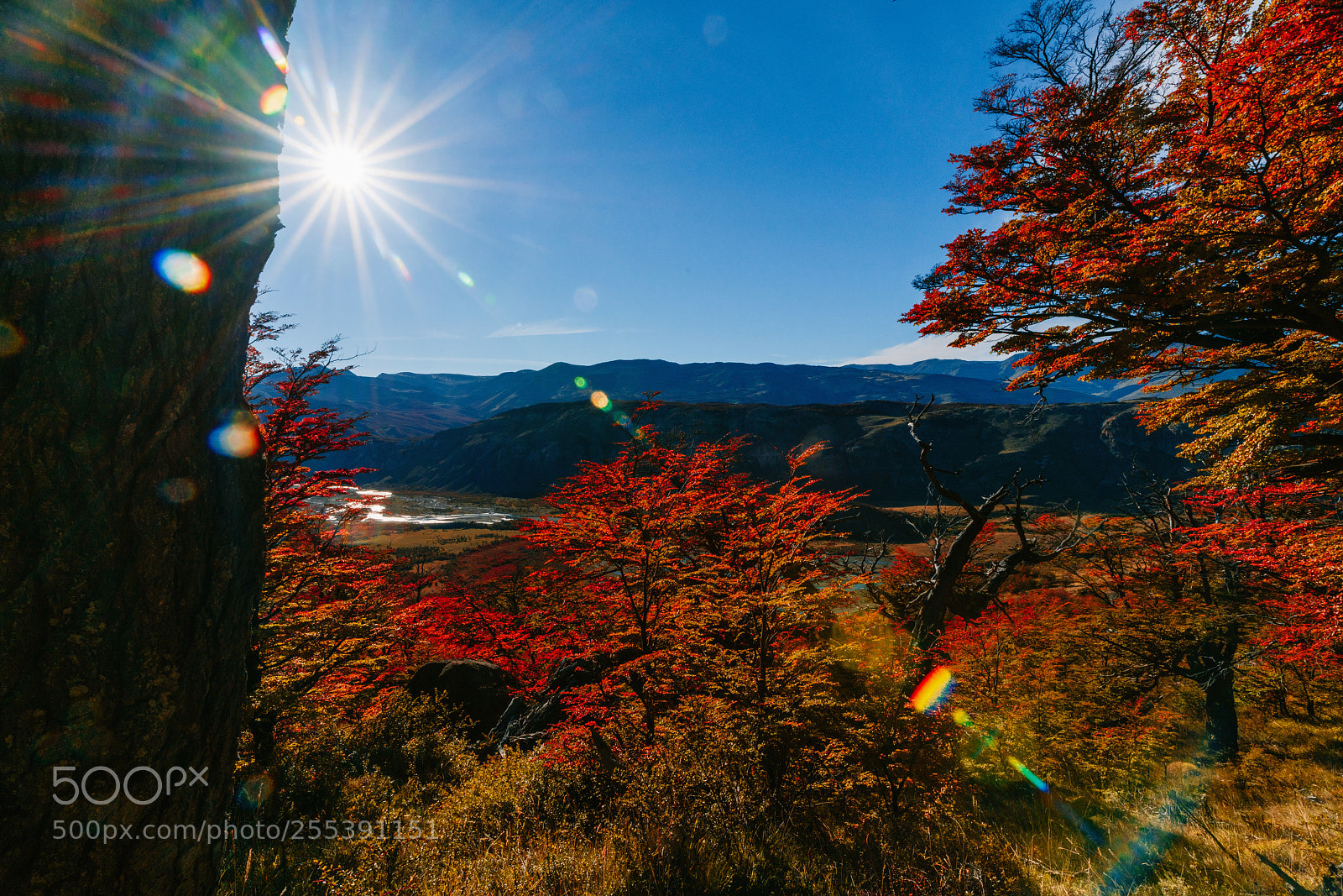 Sony a7R II sample photo. Bright colors of autumn photography