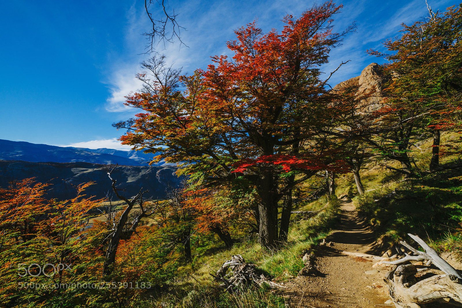 Sony a7R II sample photo. Bright colors of autumn photography