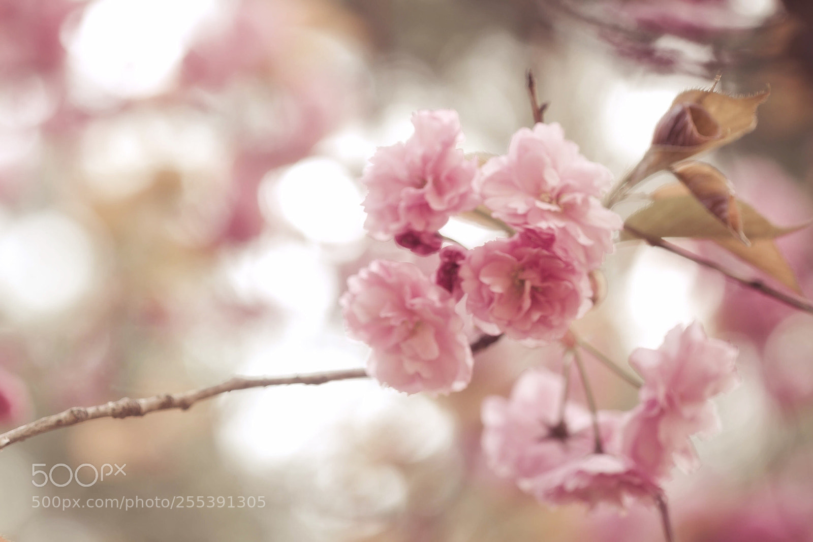 Canon EOS 6D sample photo. Smile and move on photography