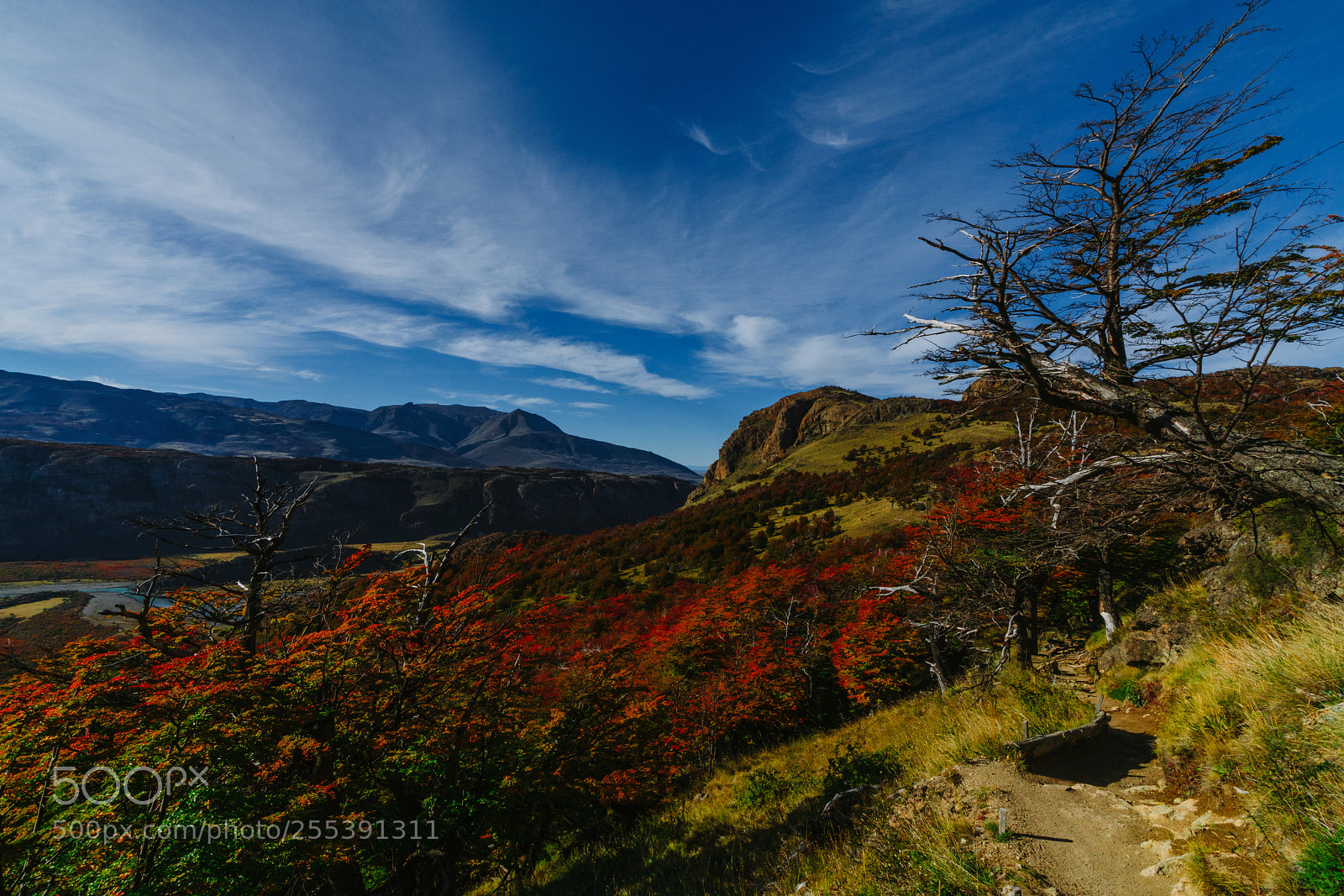 Sony a7R II sample photo. Bright colors of autumn photography