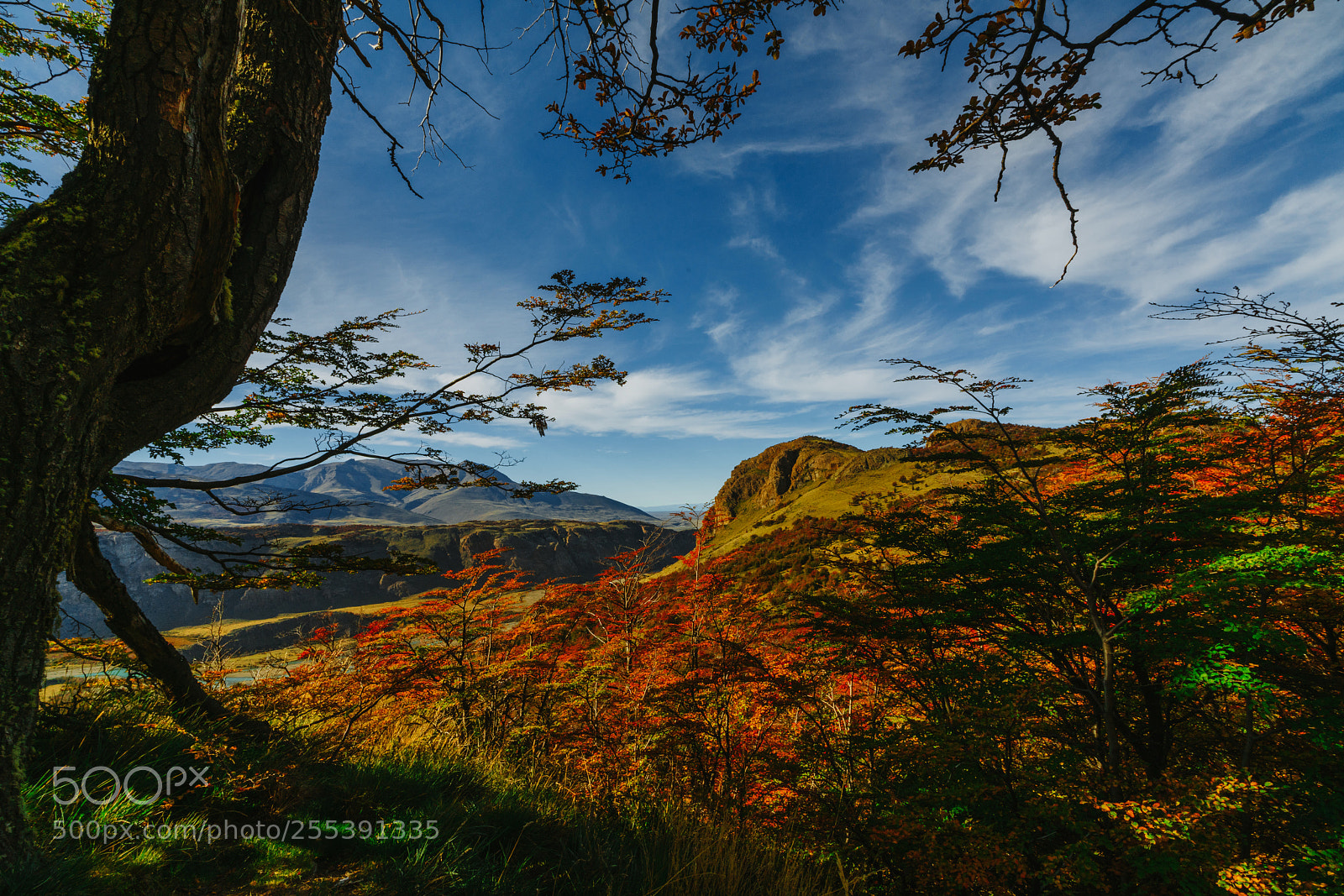 Sony a7R II sample photo. Bright colors of autumn photography