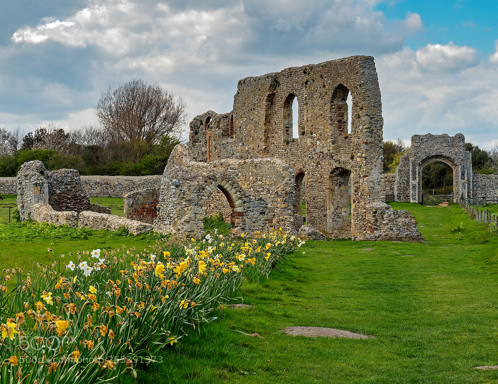 Olympus OM-D E-M5 II sample photo. Greyfriars ruins photography