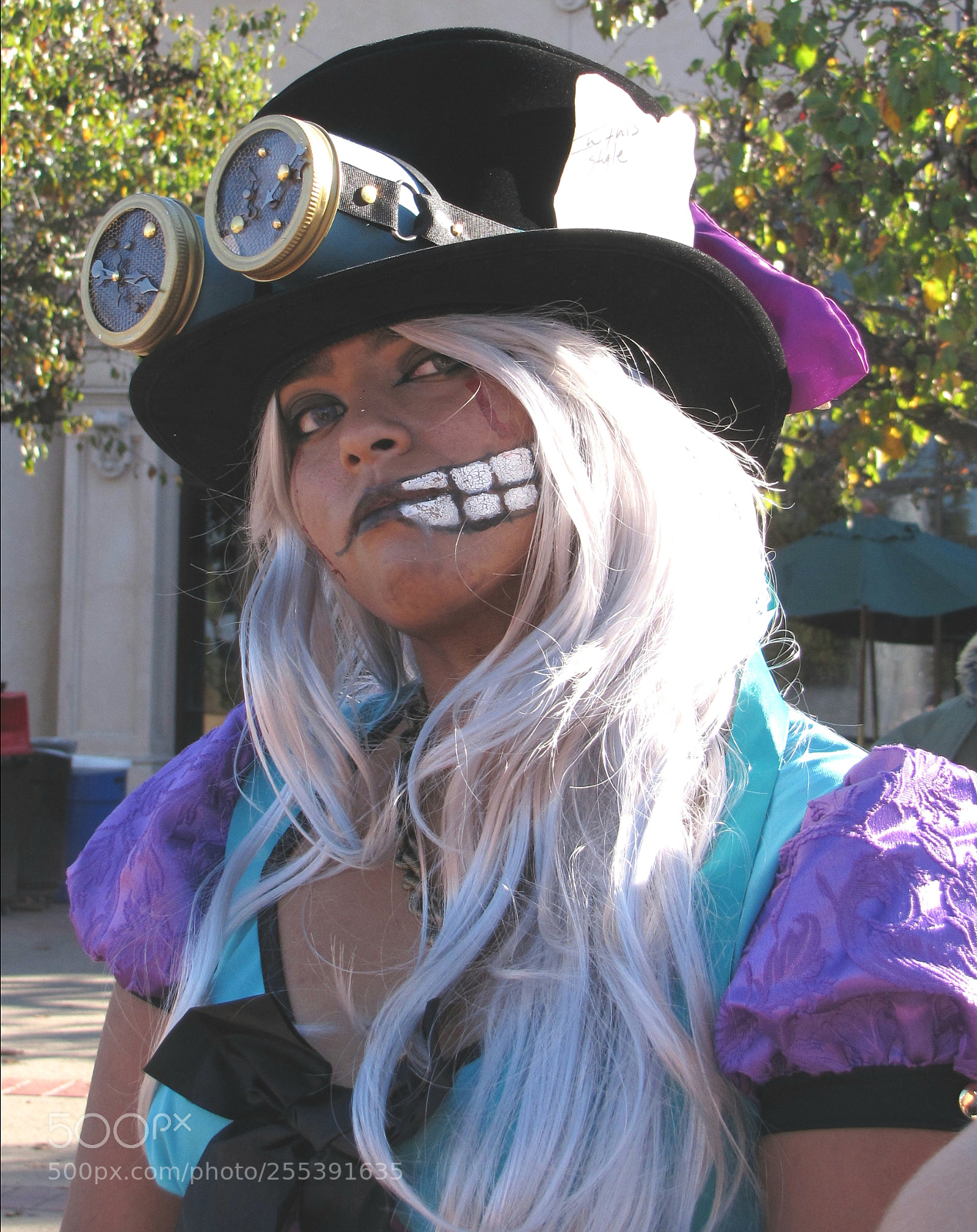 Canon PowerShot SX20 IS sample photo. Mad hatter photography