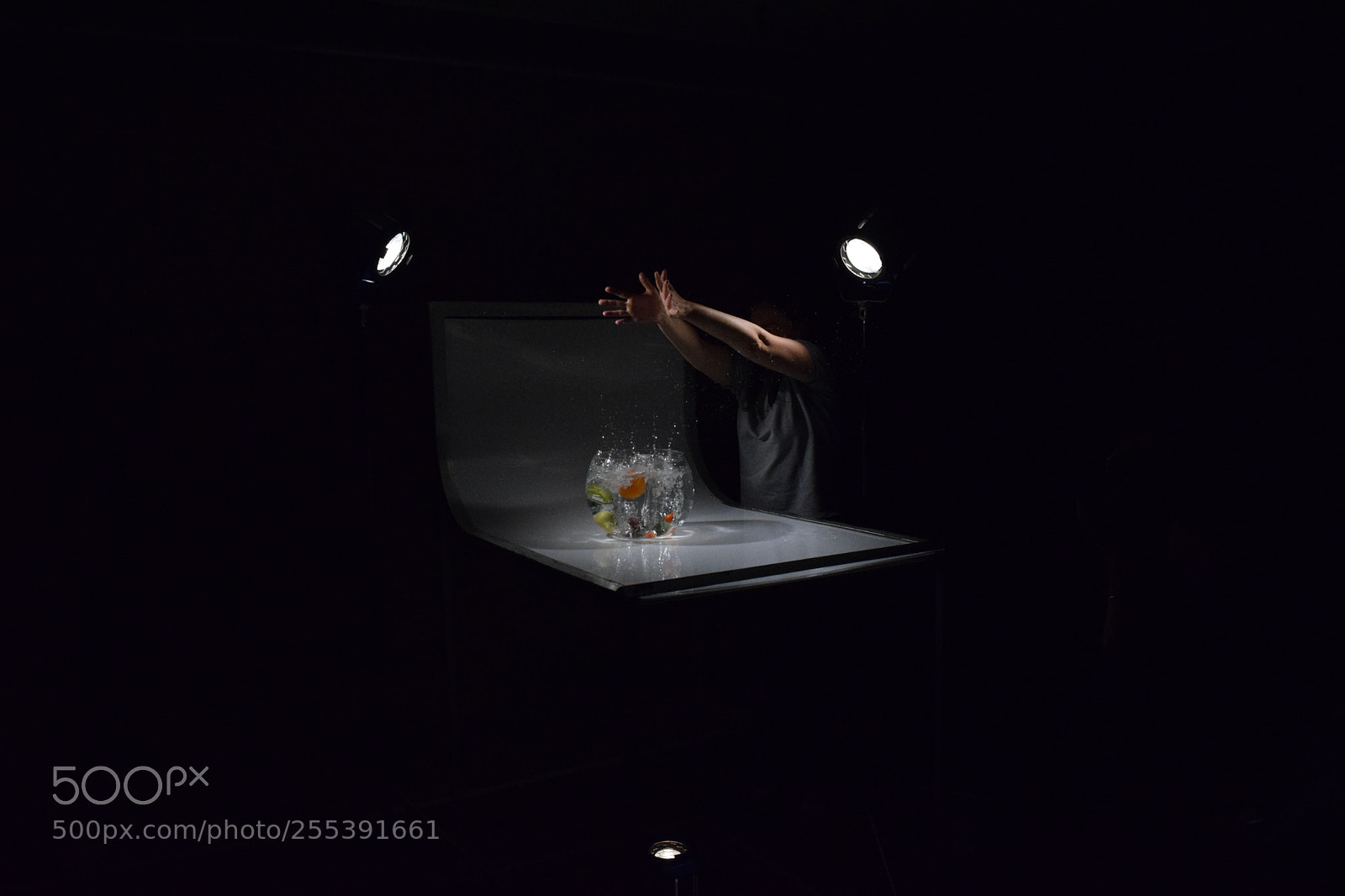Nikon D3300 sample photo. Studio photography