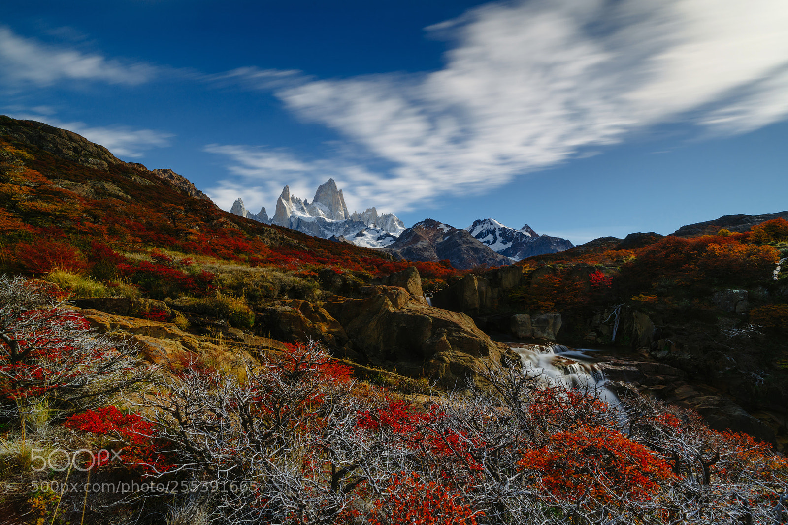 Sony a7R II sample photo. View of the fitz photography