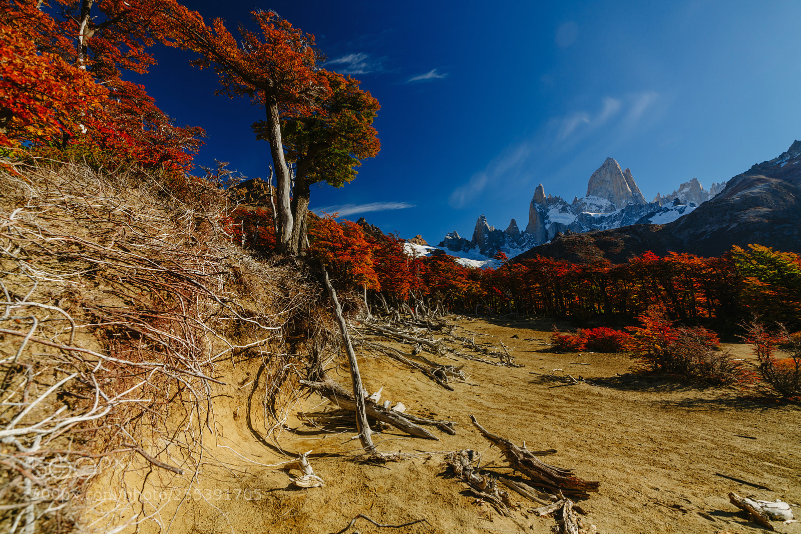 Sony a7R II sample photo. View of mount fitz photography
