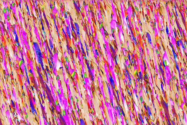 Nikon D60 sample photo. Designer 016406 x15 photography