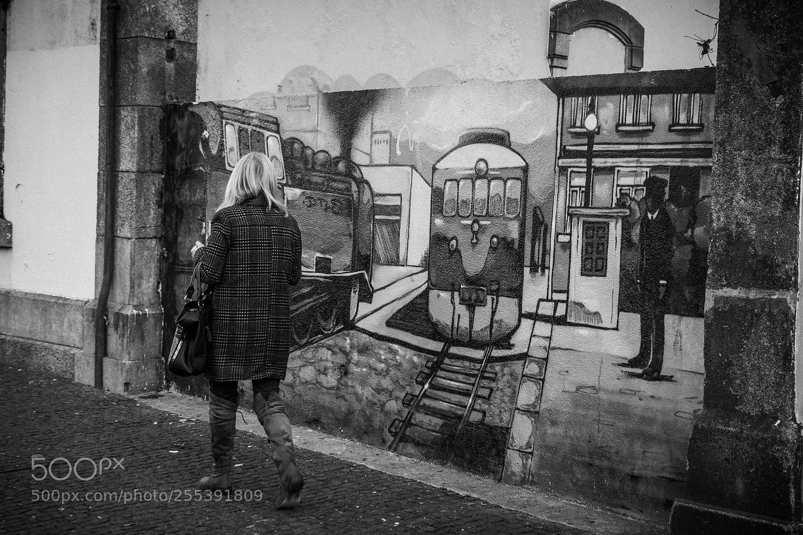 Nikon D7200 sample photo. Murales along a street photography