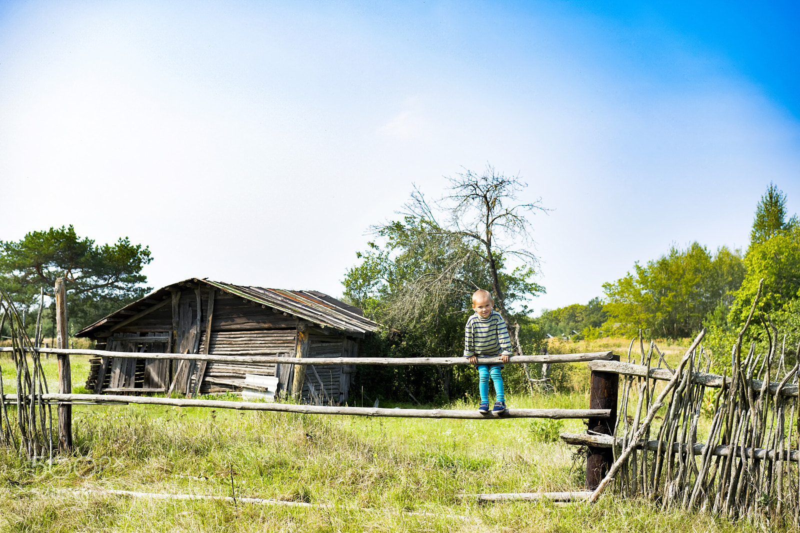 Nikon D5300 sample photo. Village boy photography