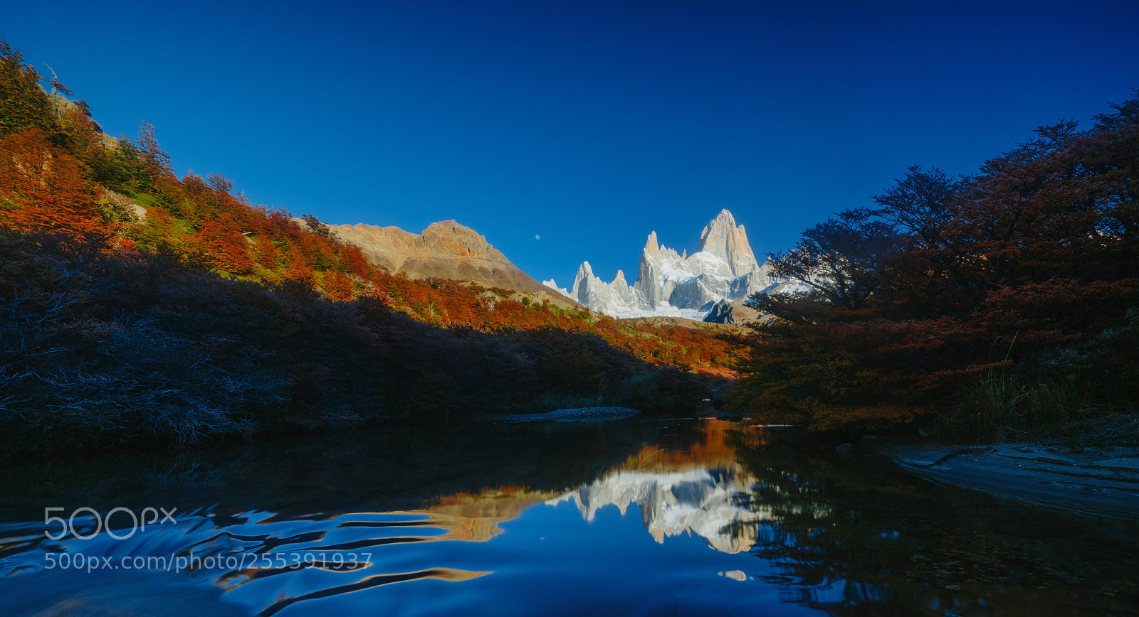 Sony a7R II sample photo. View of mount fitz photography
