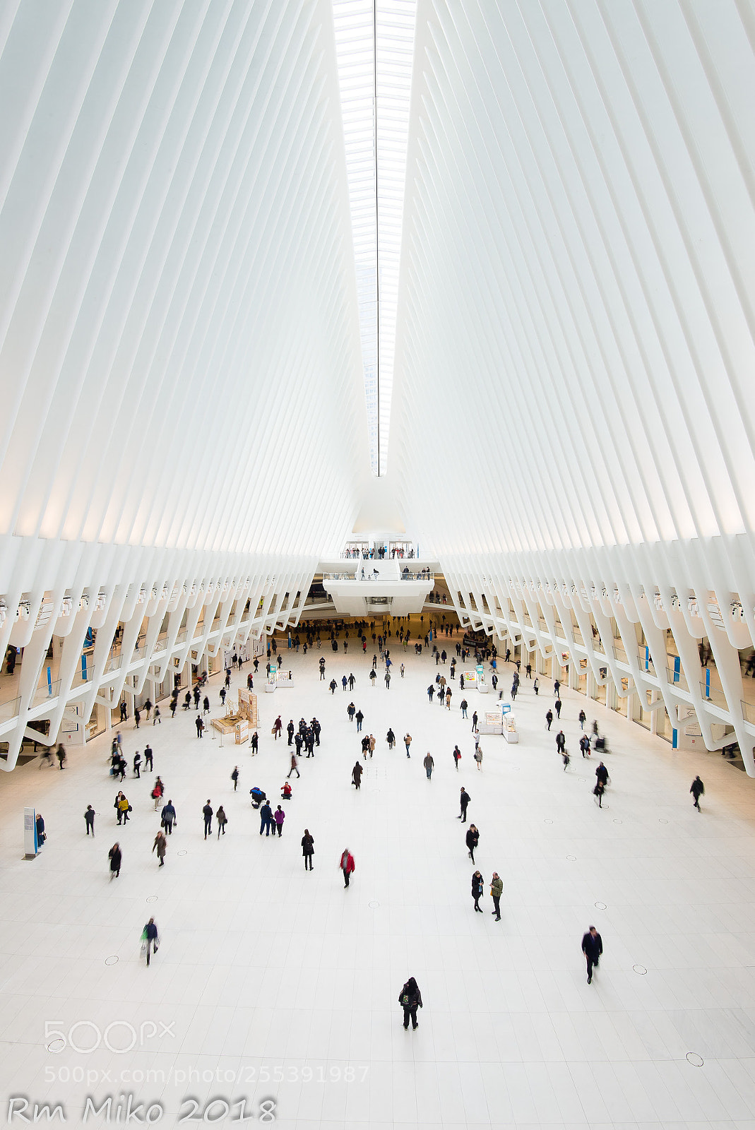 Nikon D600 sample photo. Oculus new york photography