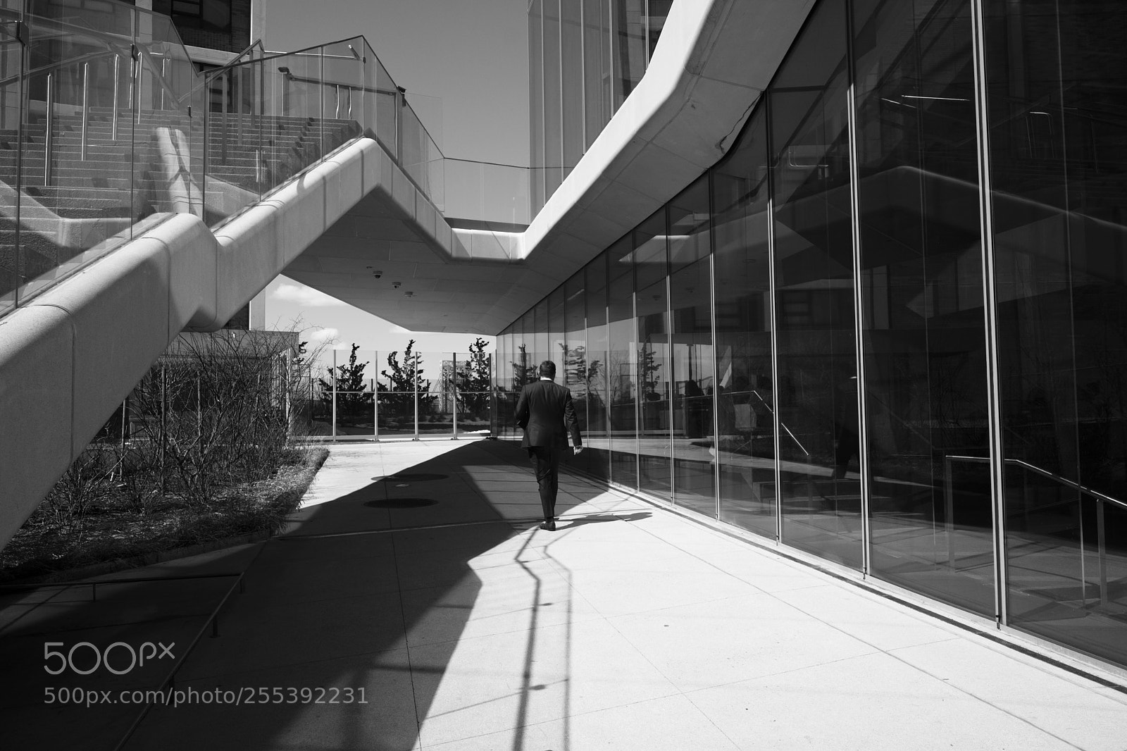 Leica SL (Typ 601) sample photo. Washingtonheights photography
