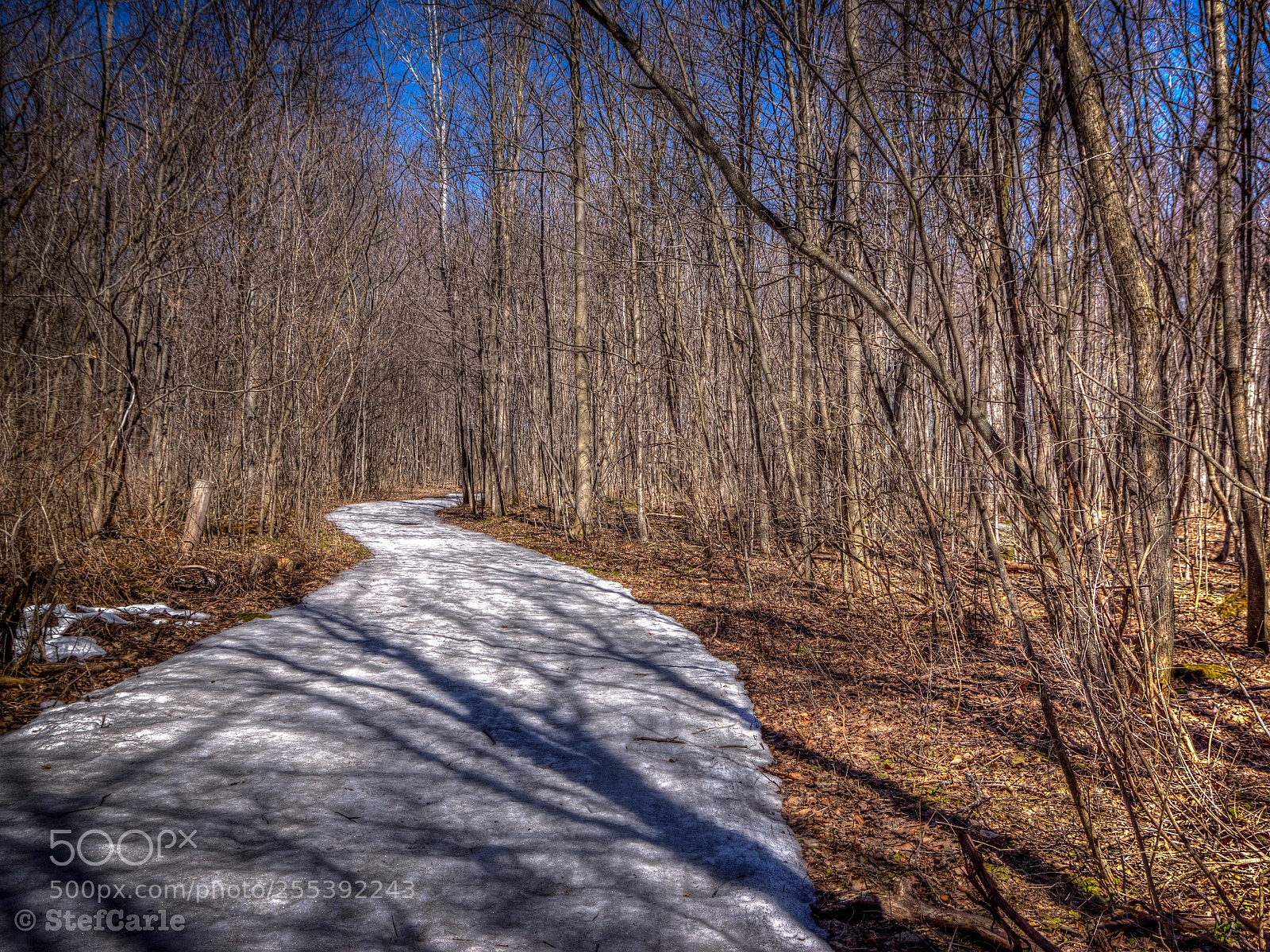 Sony SLT-A77 sample photo. End of winter in photography