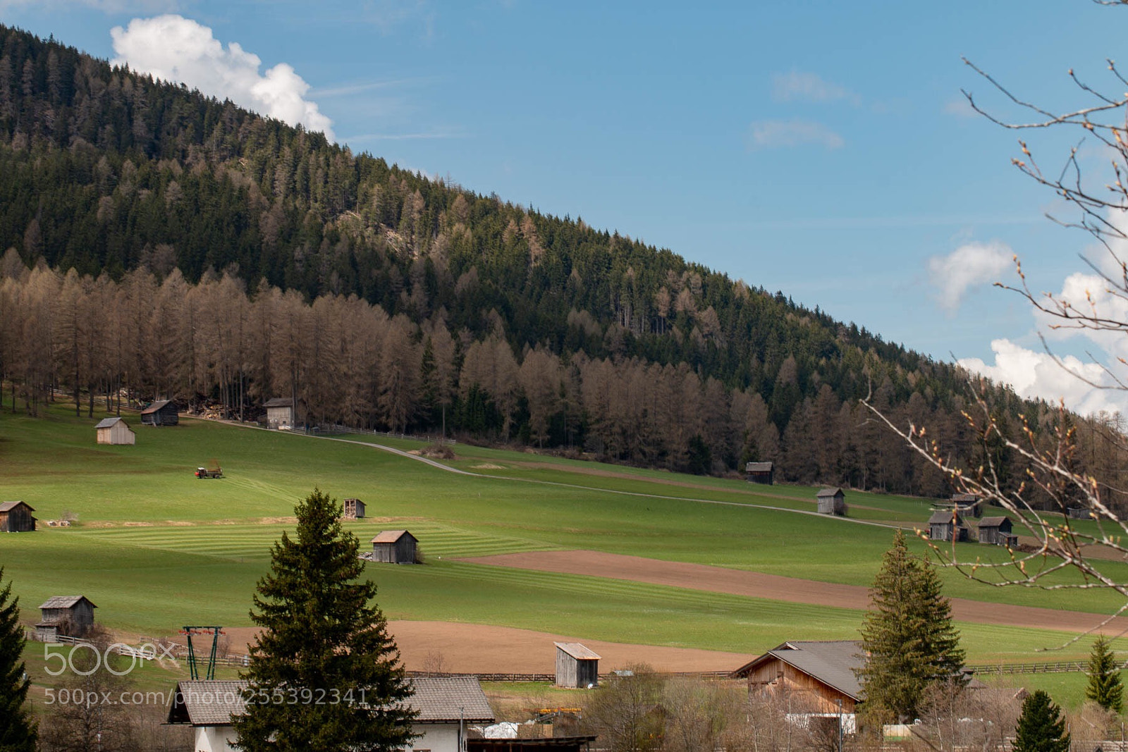 Canon EOS 70D sample photo. The green prati di photography