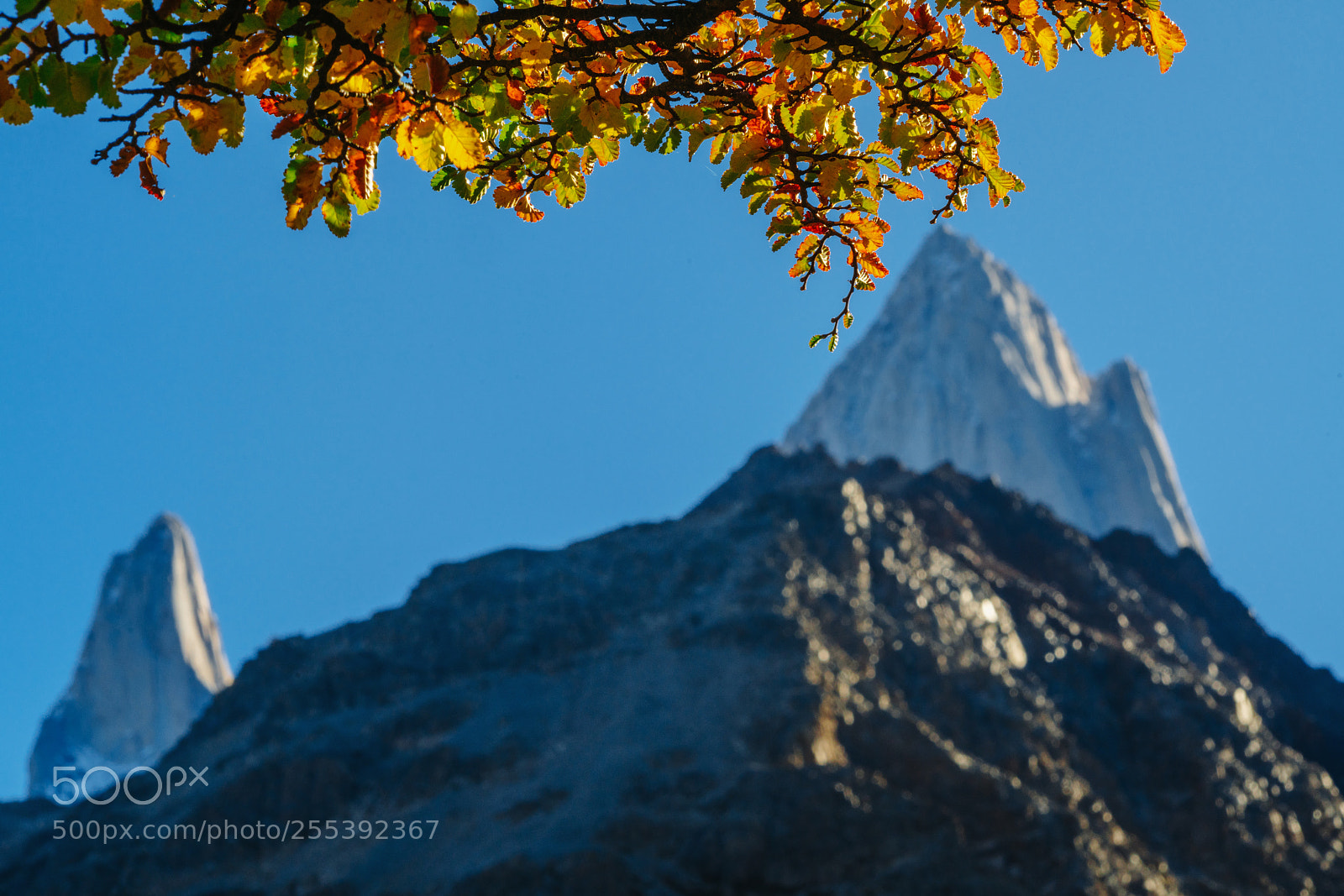 Sony a7R II sample photo. View of mount fitz photography