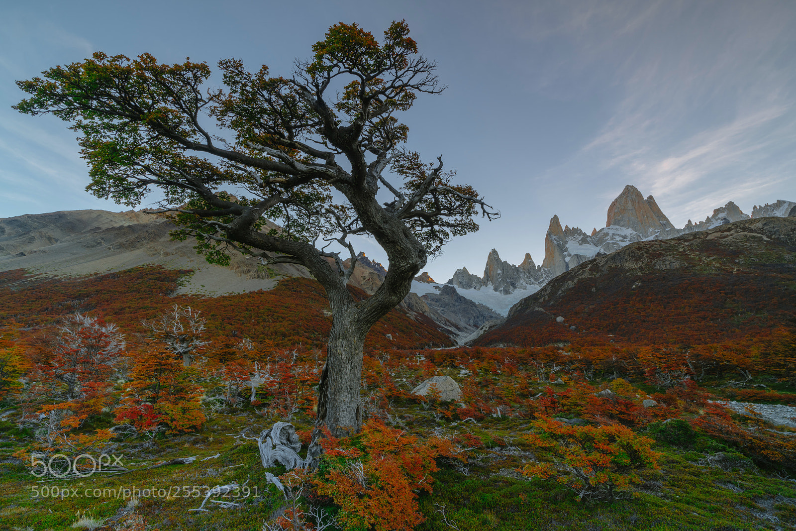 Sony a7R II sample photo. View of mount fitz photography