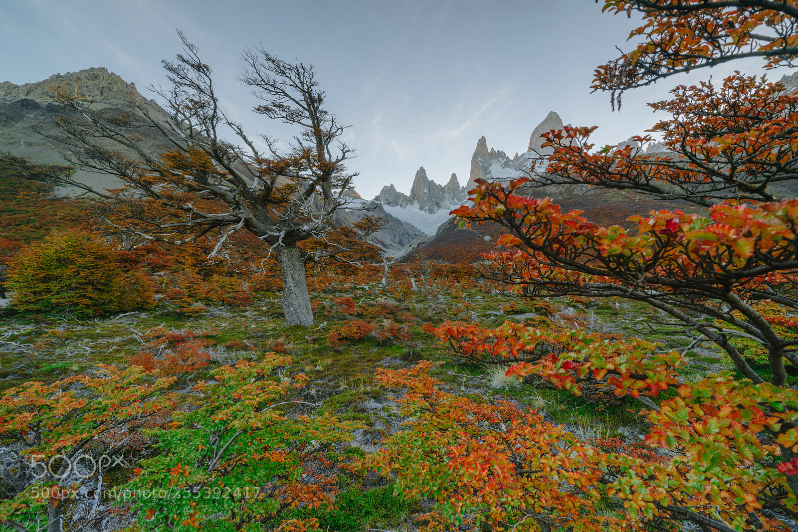 Sony a7R II sample photo. View of mount fitz photography