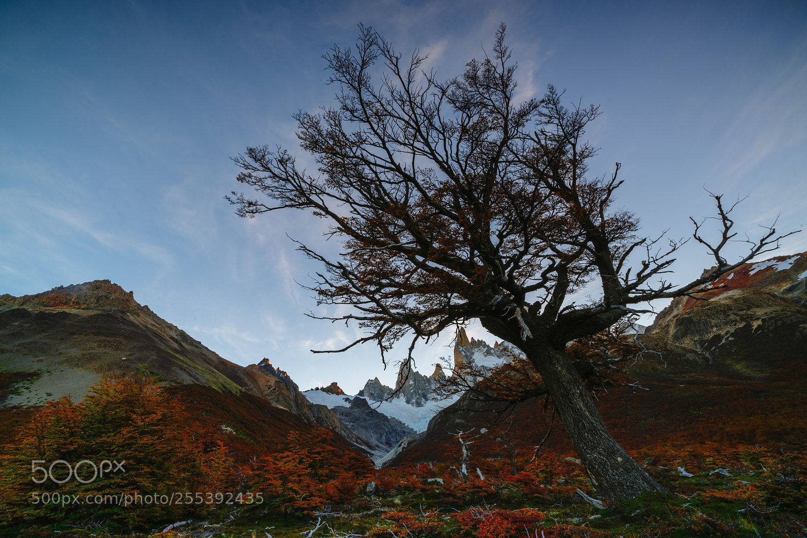 Sony a7R II sample photo. View of mount fitz photography