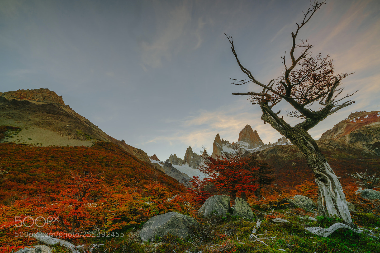 Sony a7R II sample photo. View of mount fitz photography