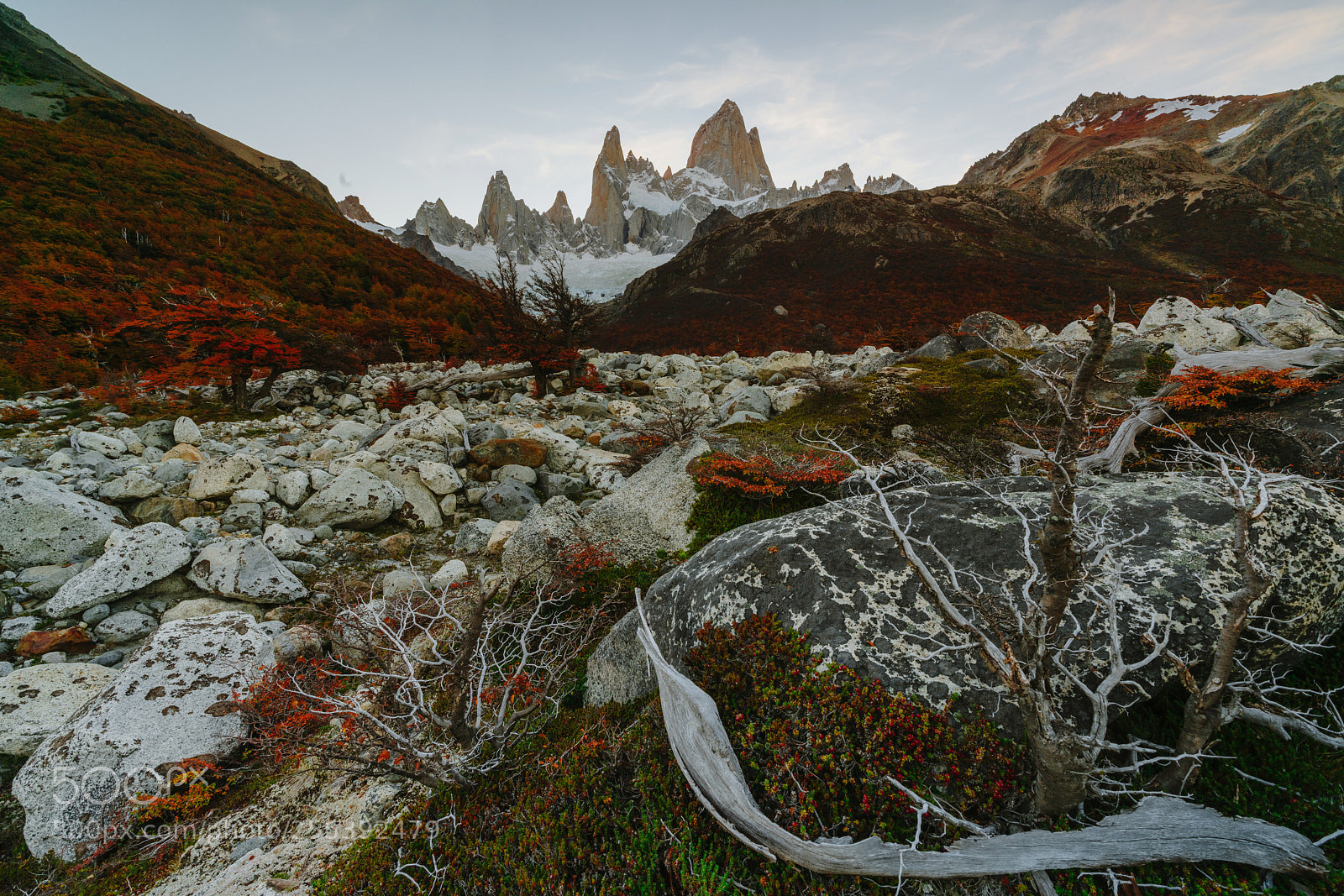 Sony a7R II sample photo. View of mount fitz photography