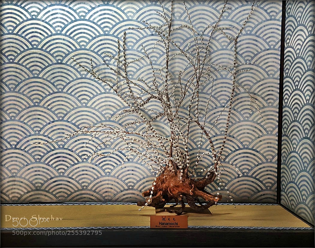 Samsung Galaxy Note5 sample photo. Japanese estehtics photography