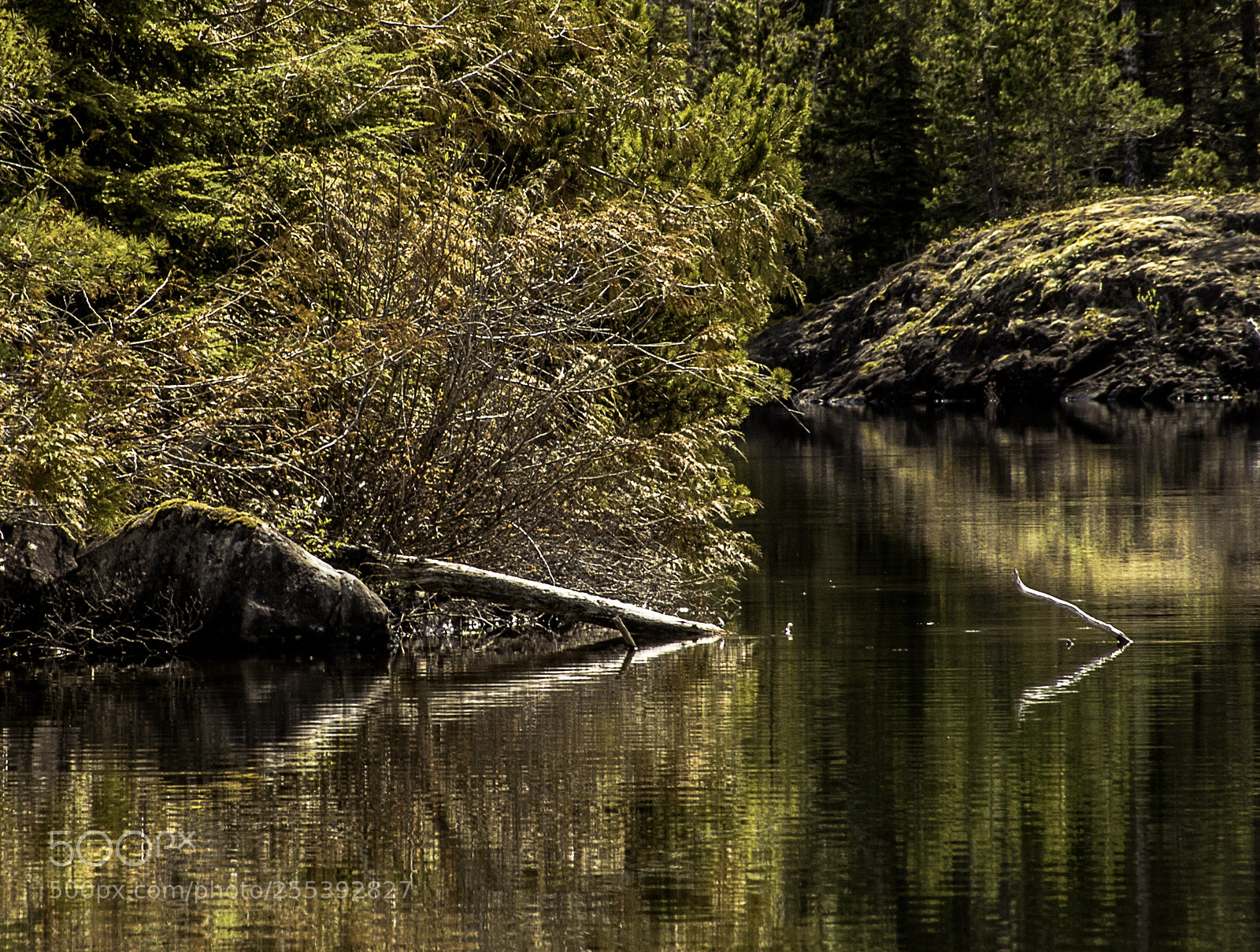 Sony a7R sample photo. Hidden way photography