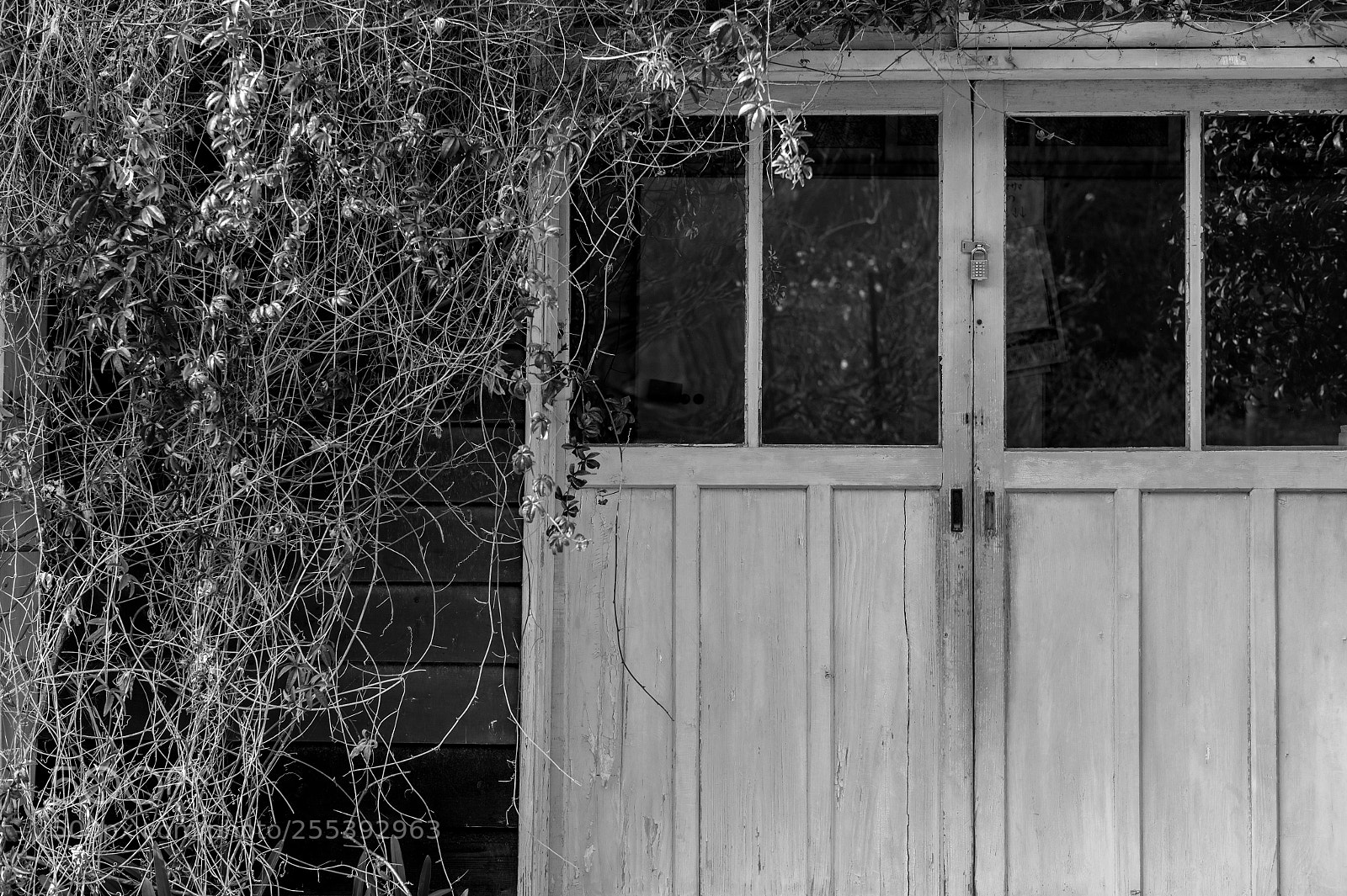 Leica M9 sample photo. Door photography