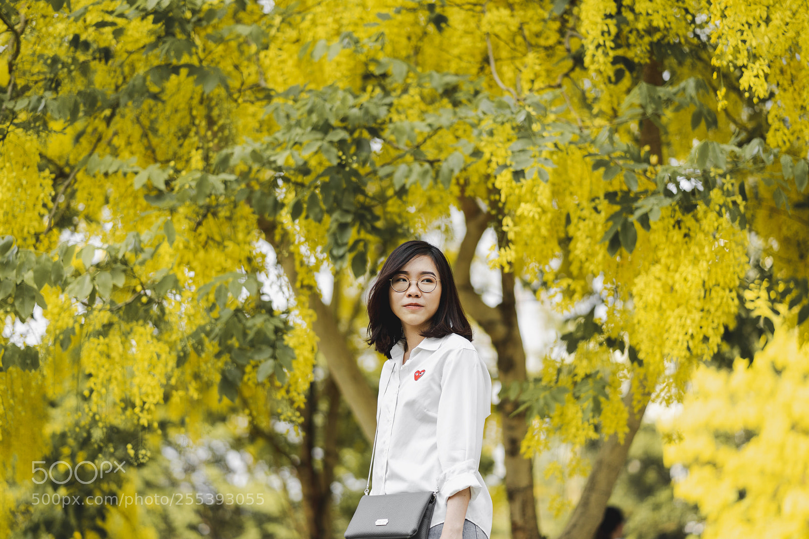 Sony a7 II sample photo. Girl and her golden photography