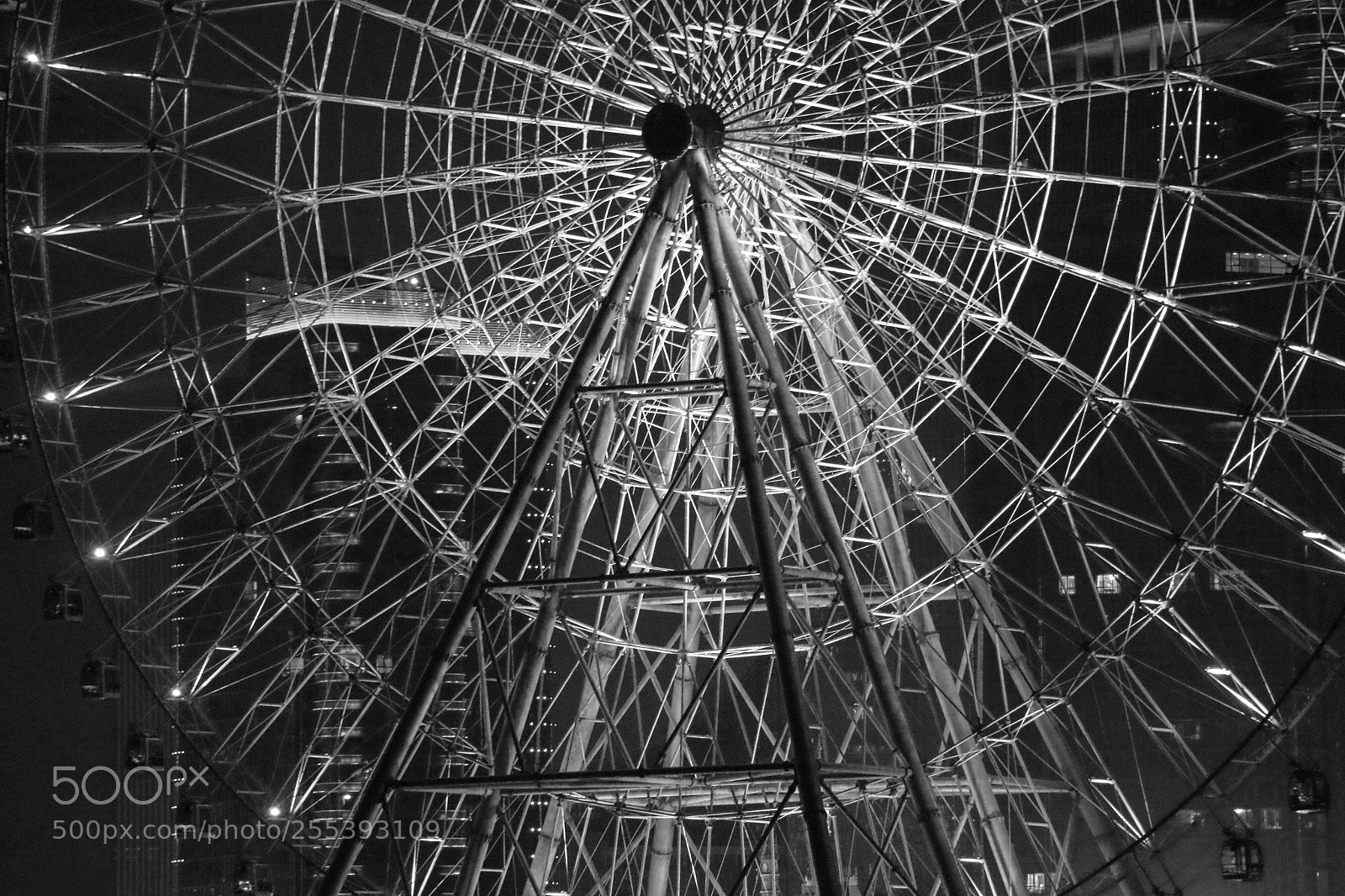 Canon EOS 70D sample photo. 夜晚金鸡湖畔的摩天轮 photography