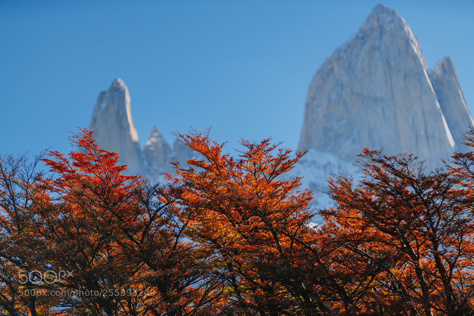 Sony a7R II sample photo. View of mount fitz photography