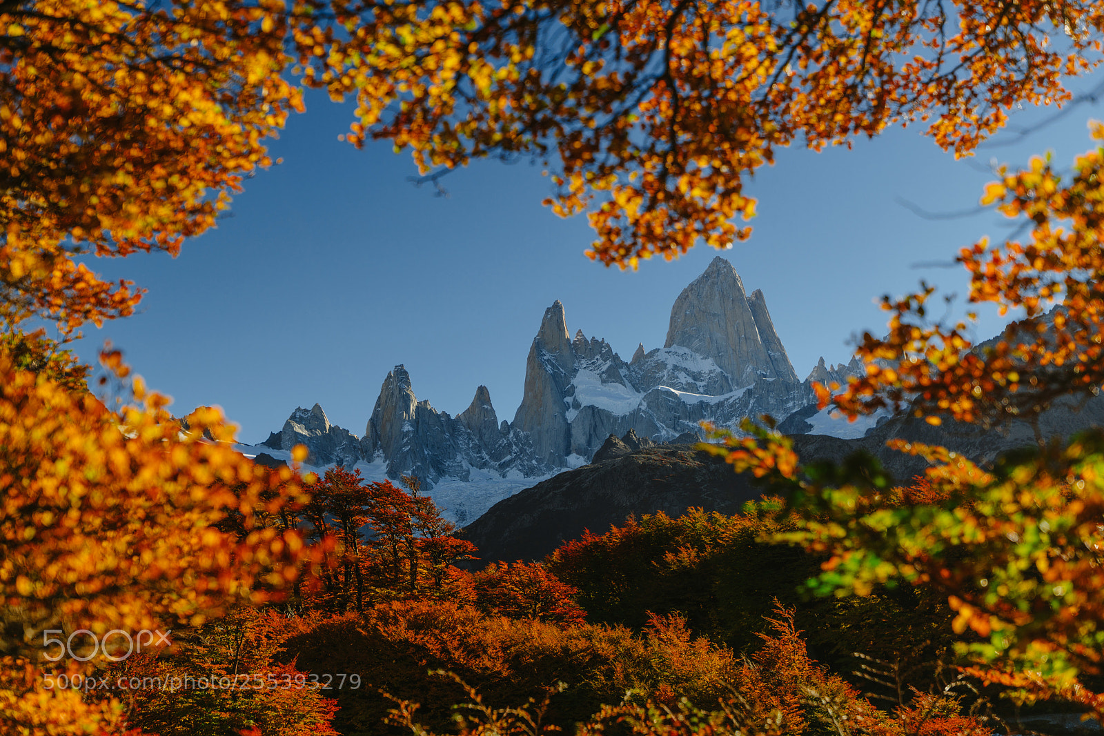 Sony a7R II sample photo. View of mount fitz photography