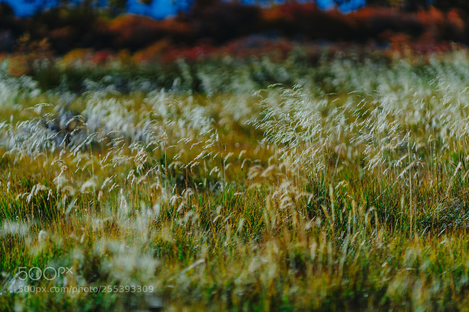 Sony a7R II sample photo. Landscape view taken during photography