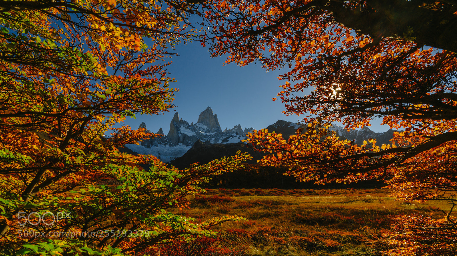 Sony a7R II sample photo. Bright colors of autumn photography