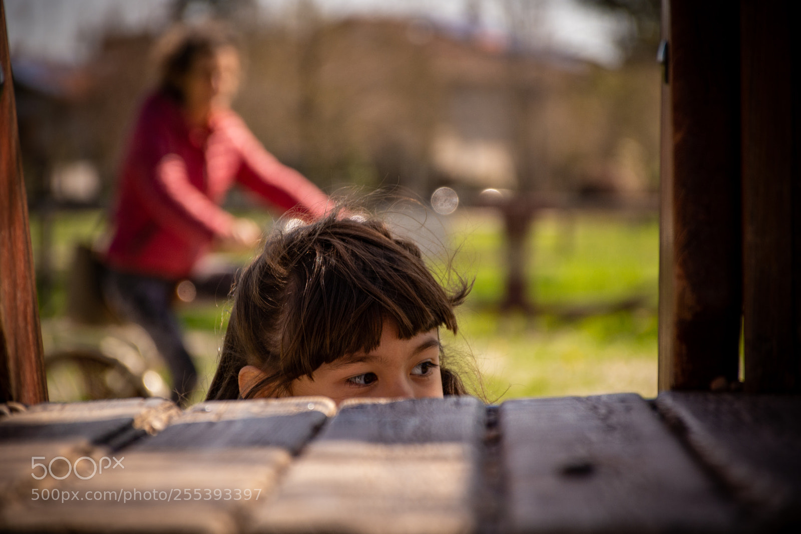 Nikon D7200 sample photo. Peekaboo, i found you photography