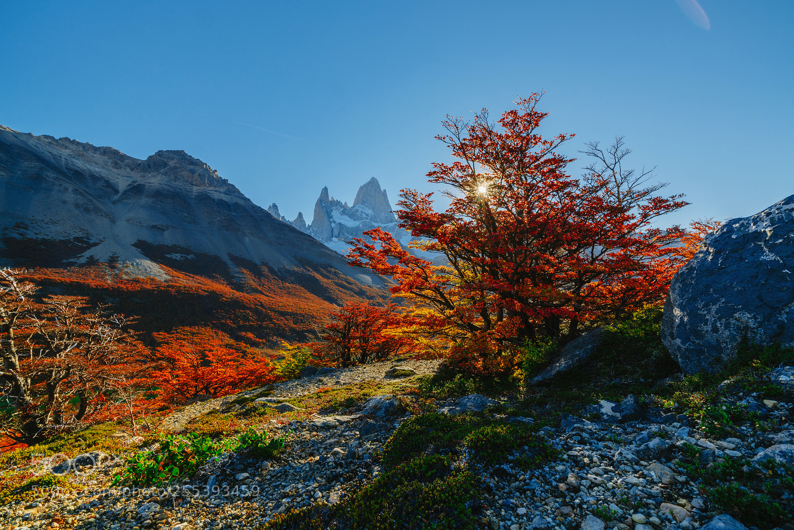 Sony a7R II sample photo. Bright colors of autumn photography