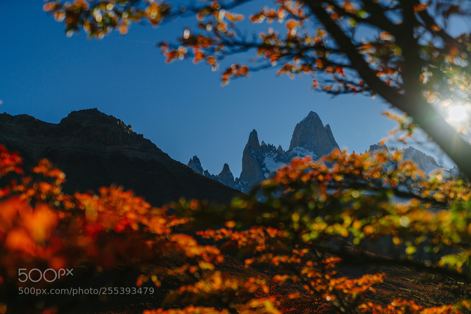 Sony a7R II sample photo. View of mount fitz photography
