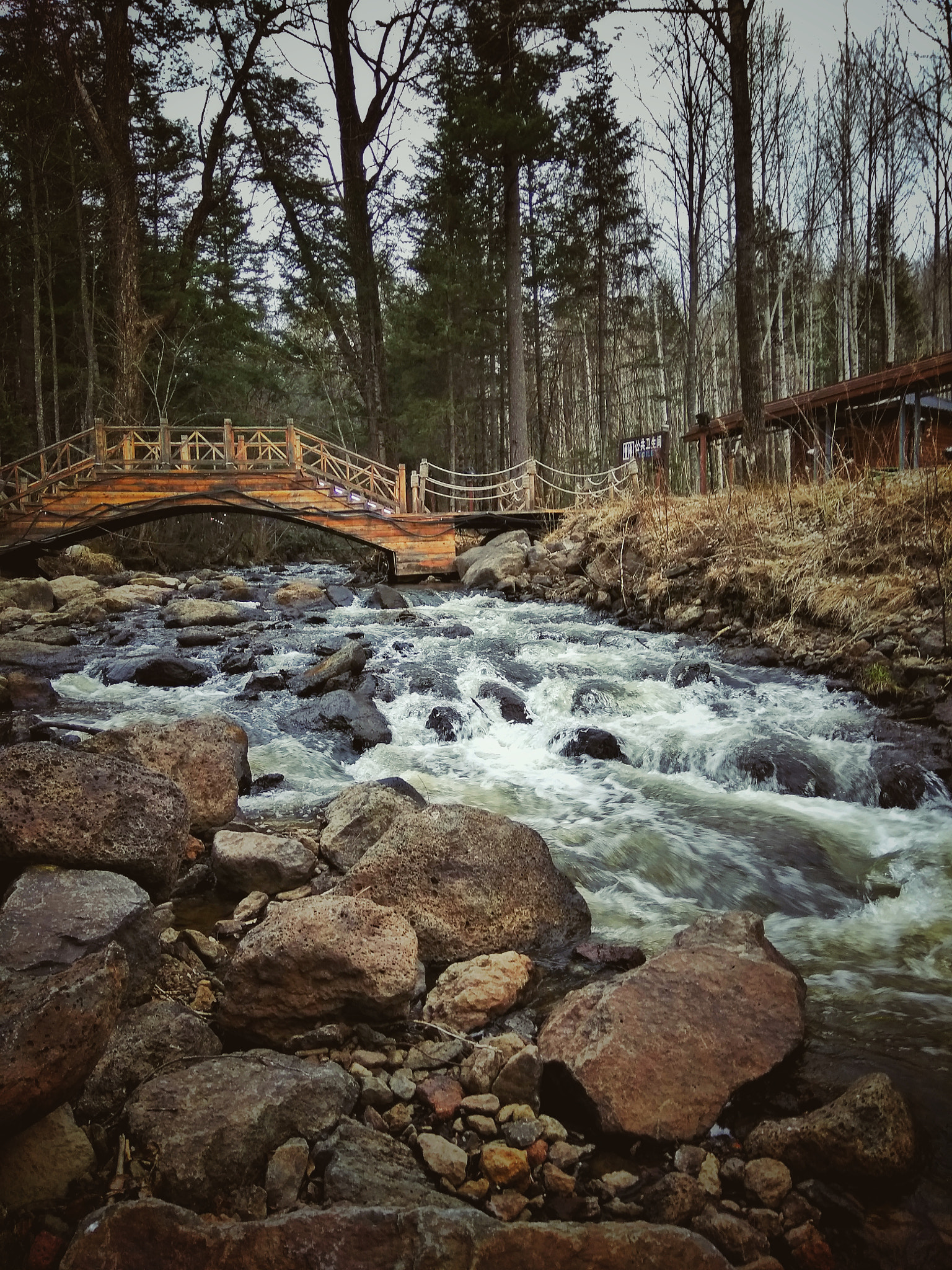 Xiaomi Redmi Note 4X sample photo