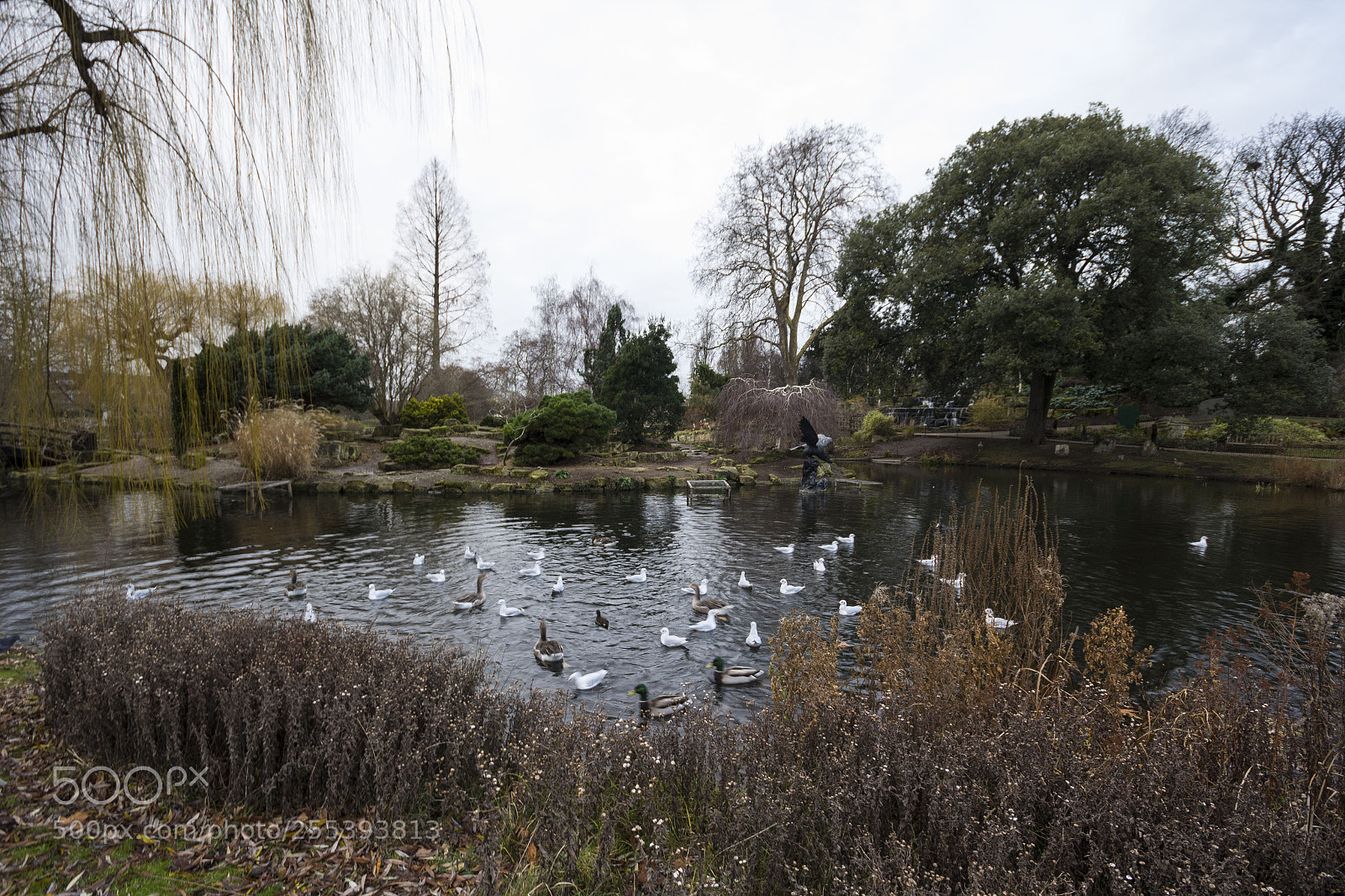 Canon EOS 60D sample photo. Park photography