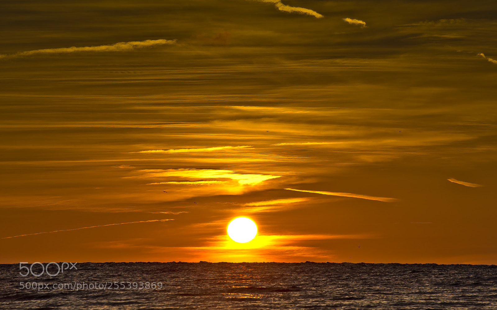 Nikon D800 sample photo. Morning sky photography