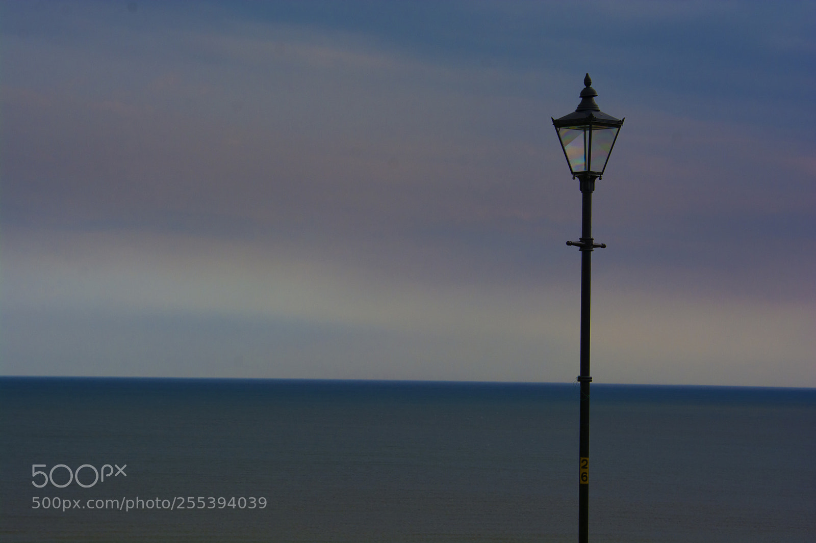 Nikon D7100 sample photo. Jpg photography