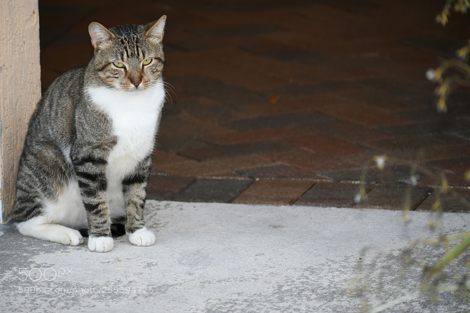 Nikon D7500 sample photo. Dsc photography