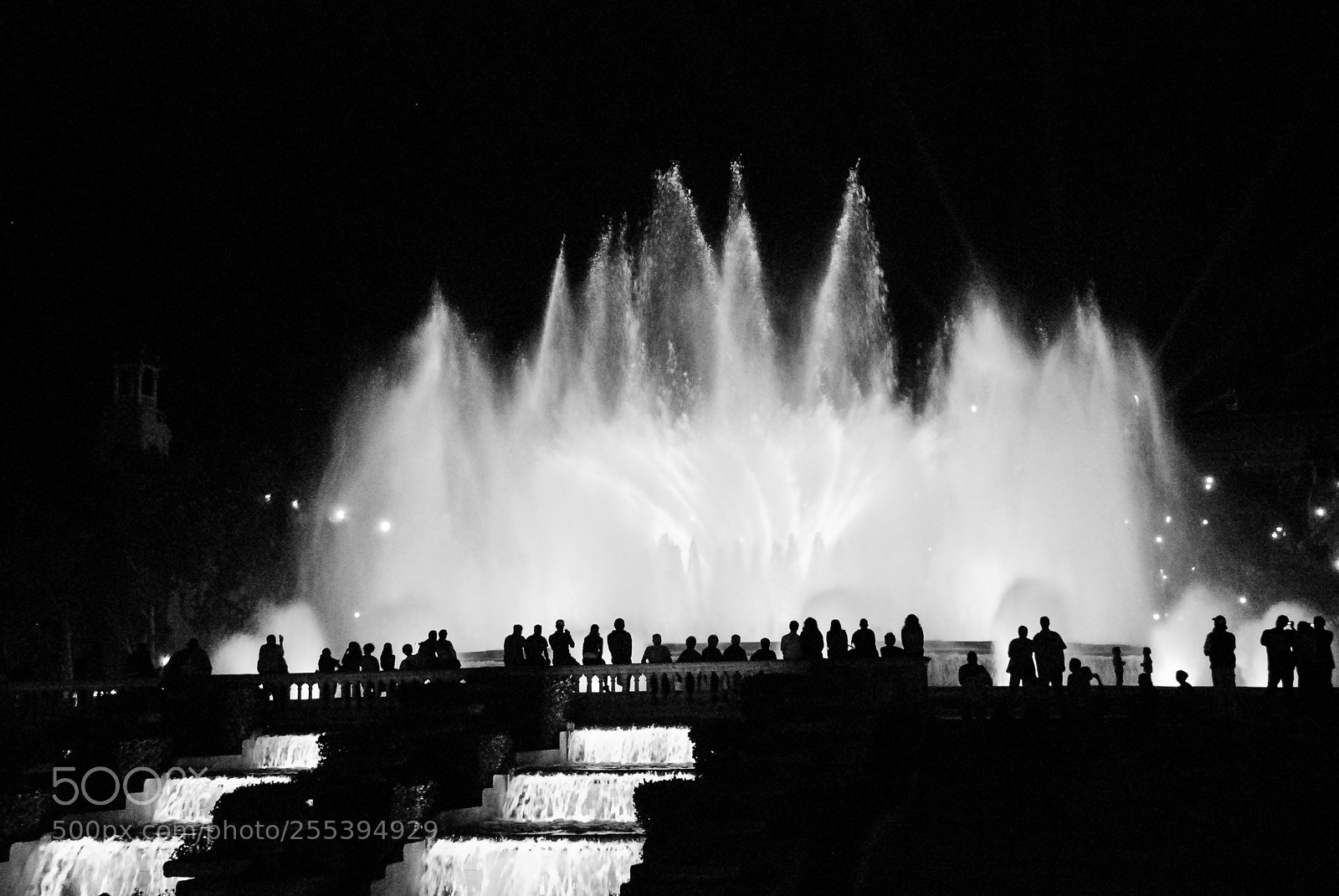 Nikon D80 sample photo. Magic fountain photography